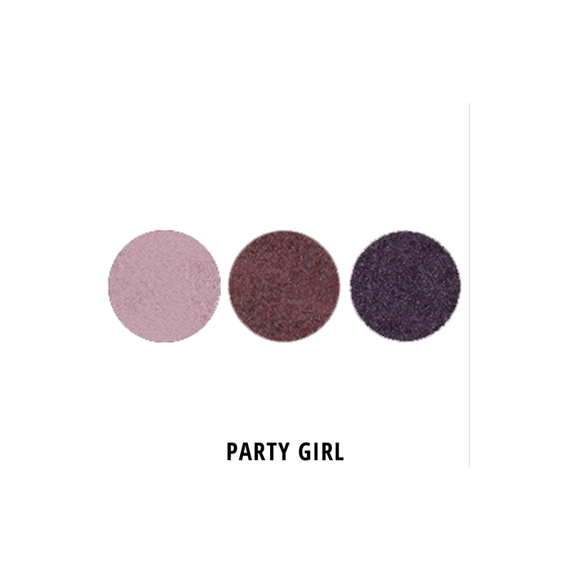 Mitzy Eyeshadow Collection (3-Well Pallet) | Mitzify Bags.
